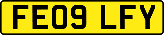 FE09LFY