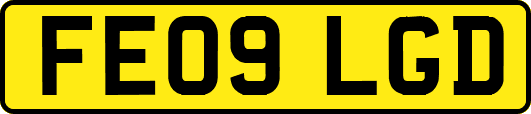 FE09LGD