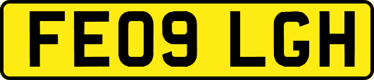 FE09LGH