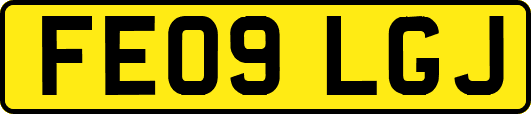 FE09LGJ
