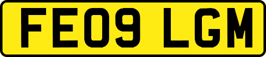 FE09LGM