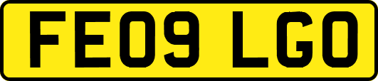 FE09LGO
