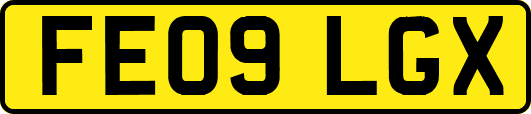 FE09LGX