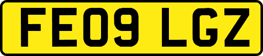 FE09LGZ