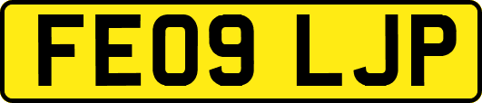 FE09LJP