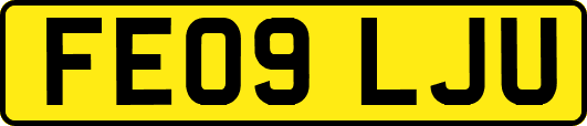 FE09LJU