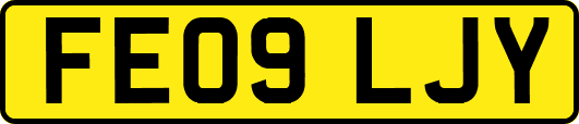 FE09LJY