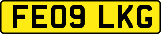 FE09LKG
