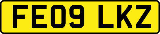 FE09LKZ