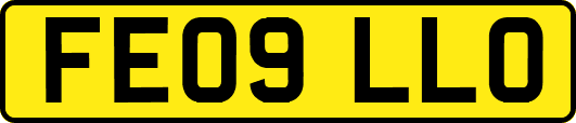 FE09LLO