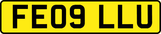 FE09LLU