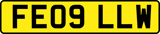 FE09LLW