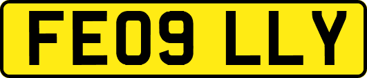 FE09LLY