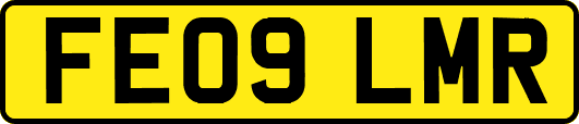 FE09LMR