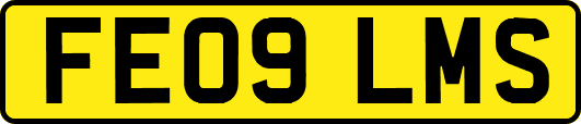 FE09LMS