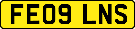FE09LNS