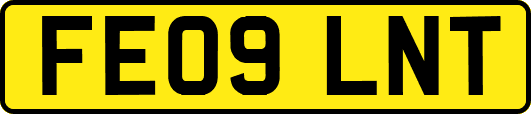 FE09LNT