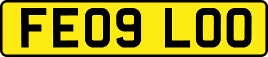 FE09LOO