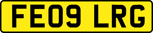 FE09LRG