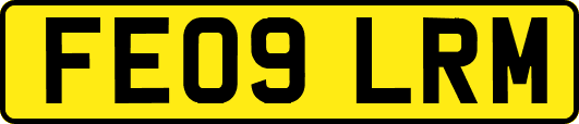FE09LRM