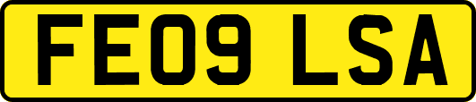 FE09LSA