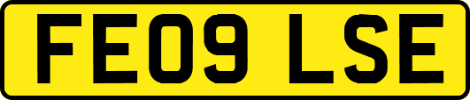 FE09LSE