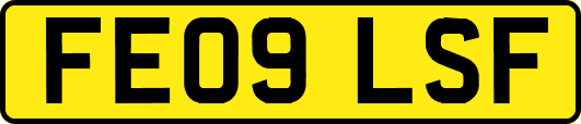 FE09LSF