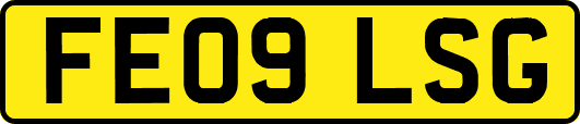 FE09LSG