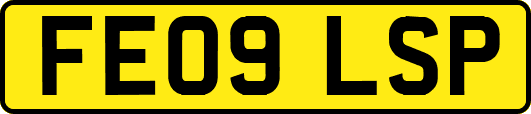 FE09LSP