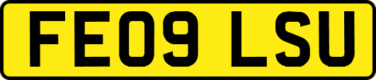 FE09LSU