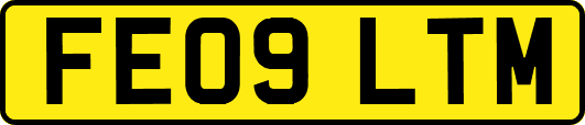 FE09LTM