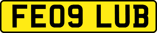 FE09LUB