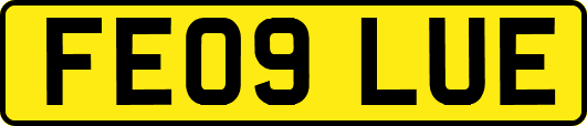 FE09LUE