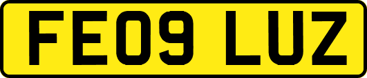 FE09LUZ