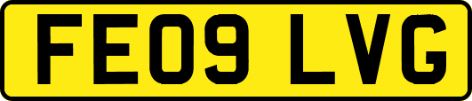 FE09LVG