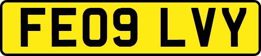 FE09LVY