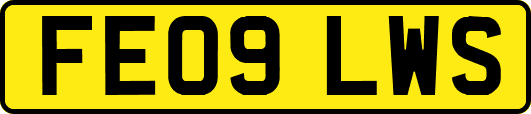 FE09LWS
