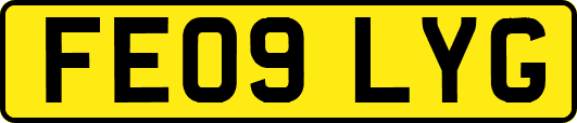 FE09LYG