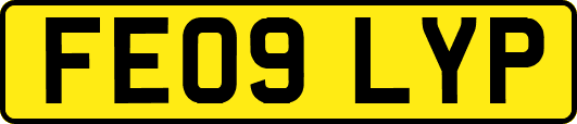 FE09LYP