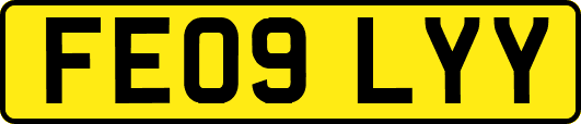 FE09LYY