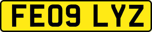 FE09LYZ