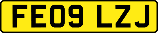 FE09LZJ