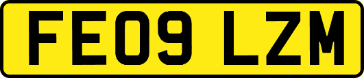 FE09LZM