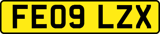 FE09LZX