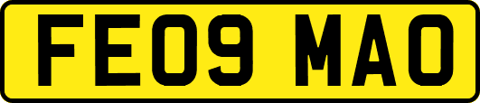 FE09MAO