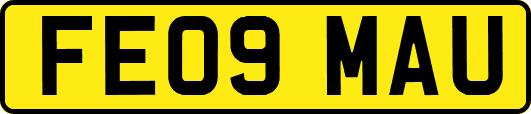 FE09MAU