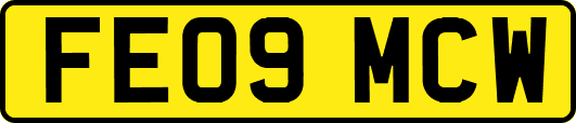 FE09MCW