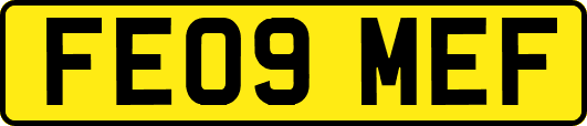 FE09MEF