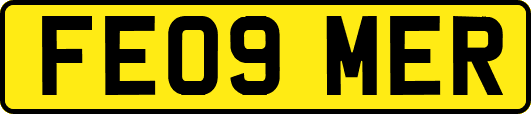 FE09MER