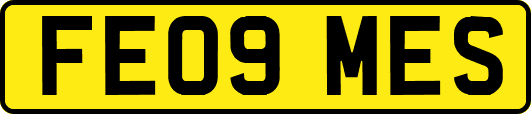 FE09MES